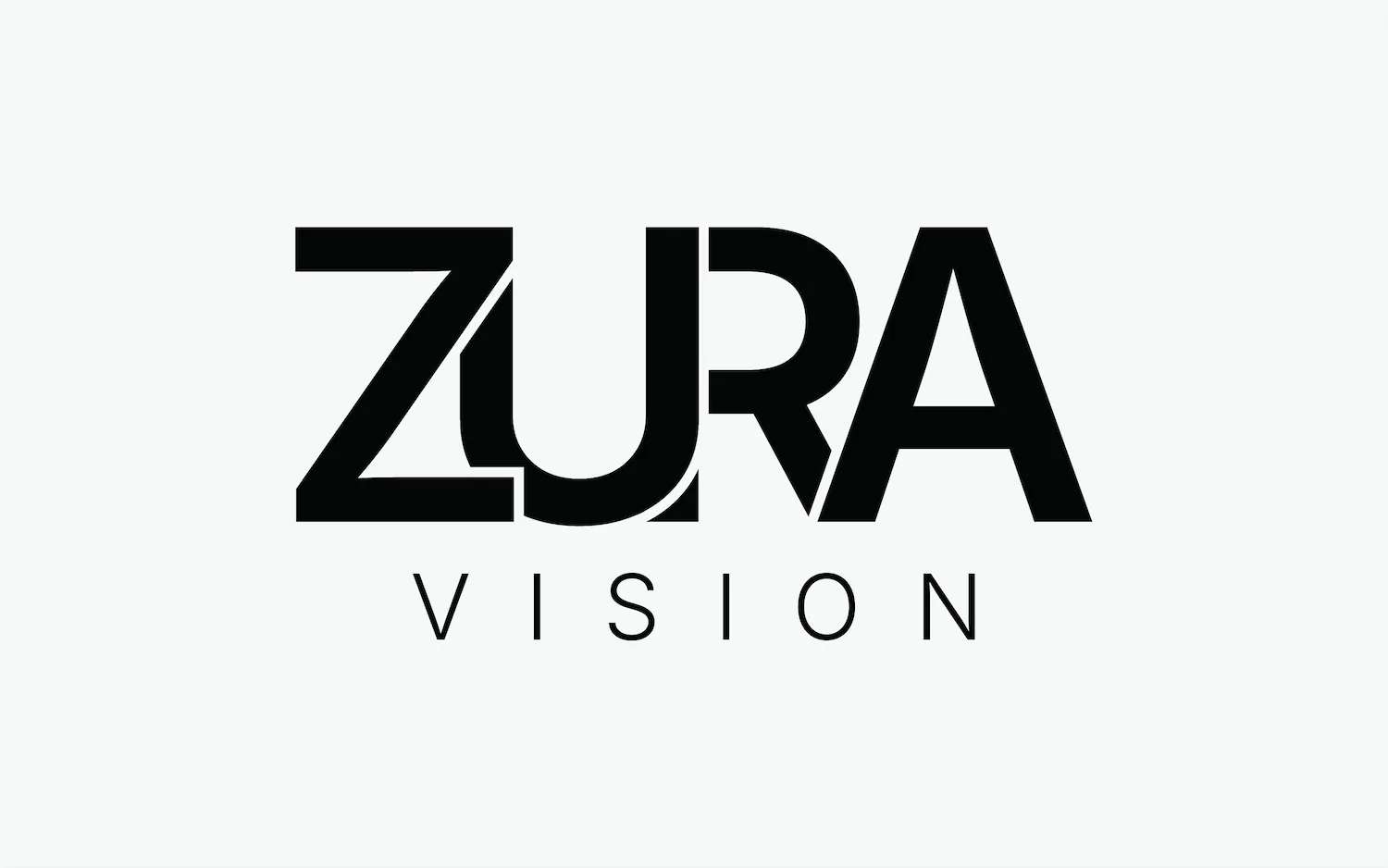 Zura Vision - About Us Zura Vision About Us